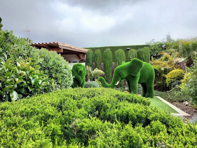 jardín2