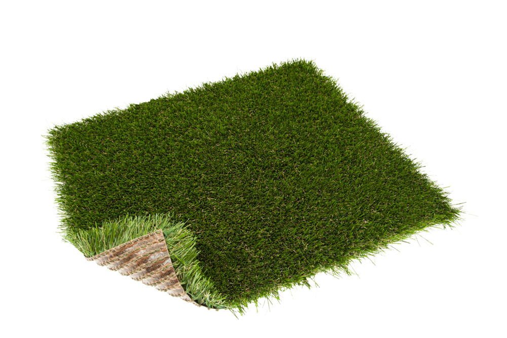 turfgrass-goya