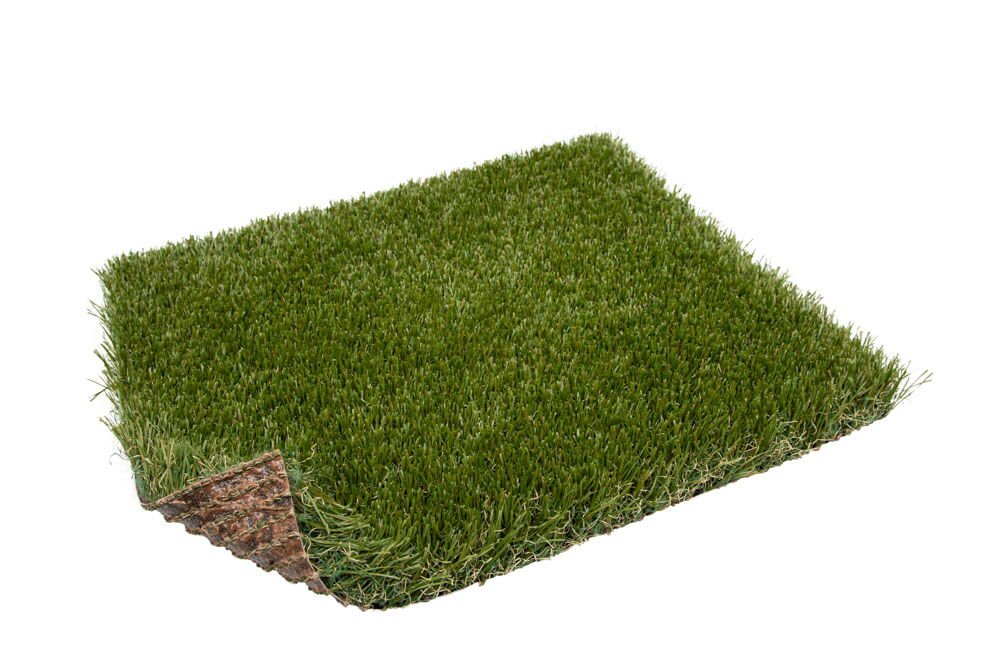 turfgrass-neila