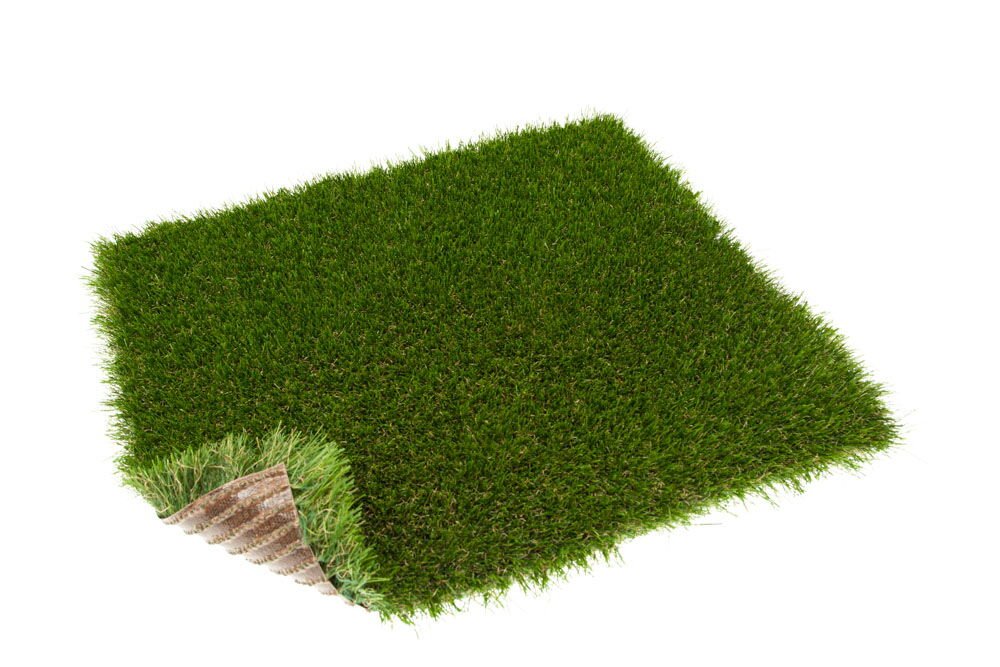 turfgrass-taiga